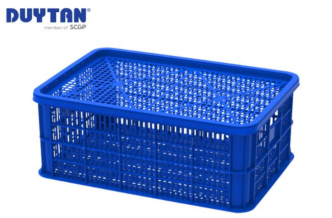 What is plastic waves? Common applications of plastic waves in everyday life