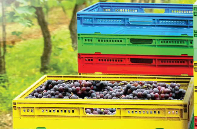 プラスチック波には、市場で最高の価格で多様な果物サイズが含まれています