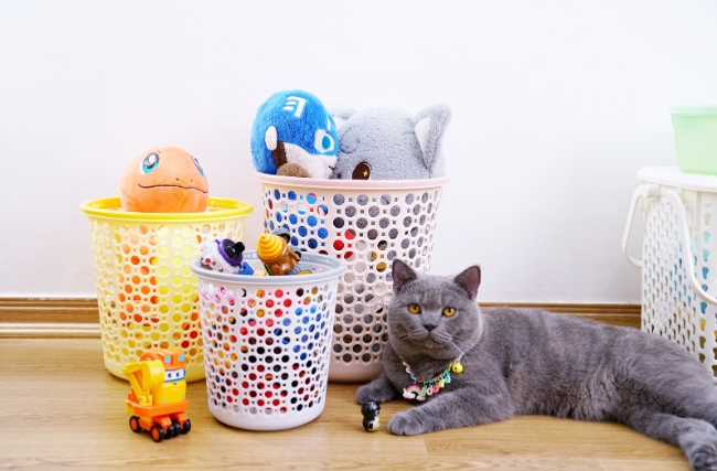 SỌT TRÒN 2 MÀU - ĐẸP TỪNG CHI TIẾT – TIỆN DỤNG ĐA NĂNG