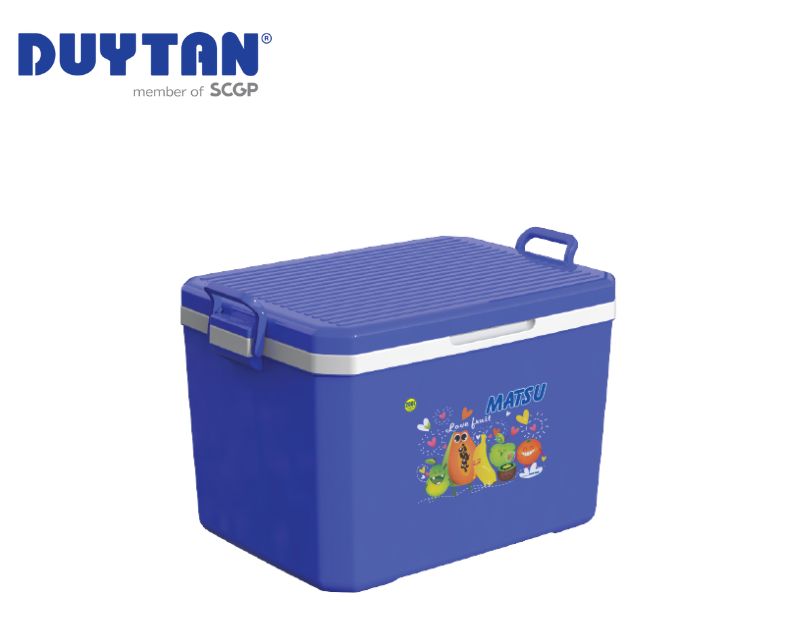 Duy Tân 160L ice box suitable for various uses
